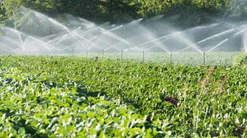 Irrigation system on a field