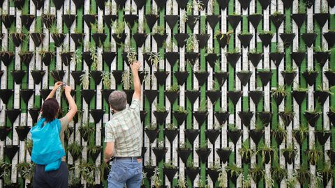 Two people tend a vertical plant wall with lots of plant pockets